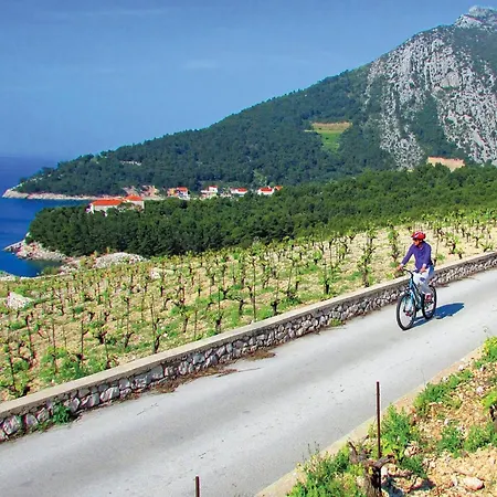 Vakantiehuis Gorgeous In With Sauna *