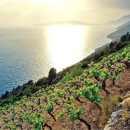 Gorgeous In With Sauna *