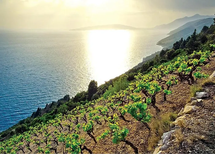 Gorgeous In With Sauna *